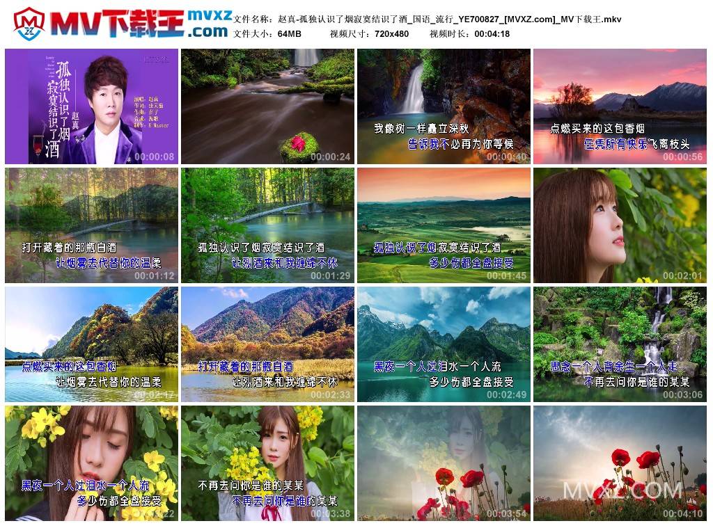 赵真-孤独认识了烟寂寞结识了酒_国语_流行_YE700827